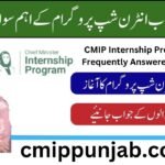 CMIP Internship Program FAQs Frequently Answered Questions